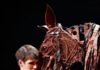 “War Horse” actor trained in Arizona