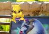 Better Business Bureau urges caution with Pokémon Go craze
