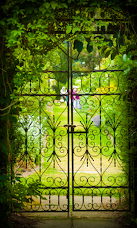 A gate hides a green, flower-filled garden