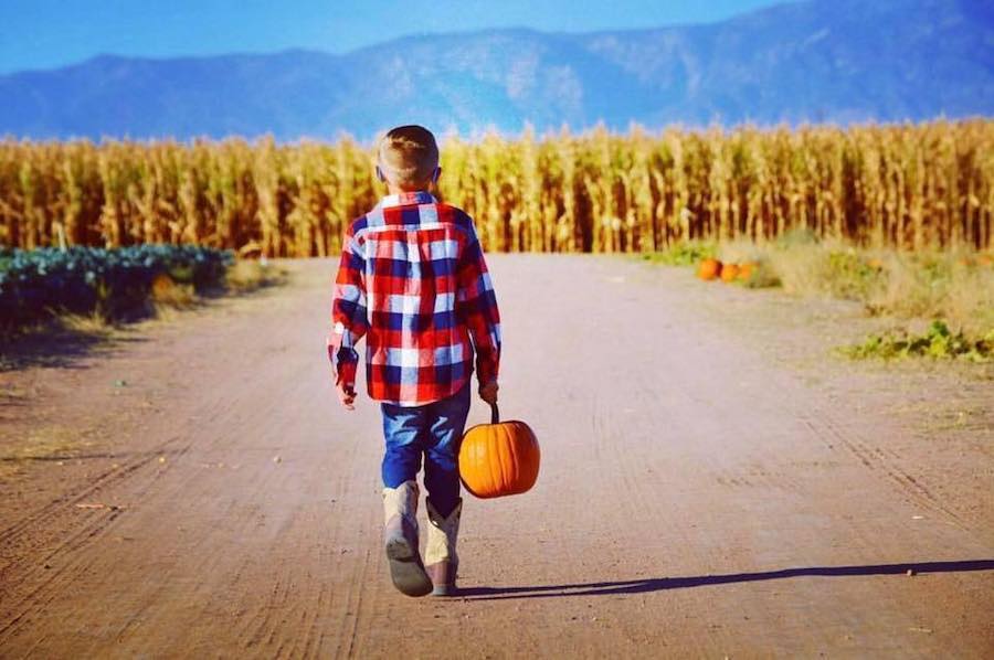 Apple Annie's Orchard, Fall Pumpkin Celebration, Willcox, Arizona