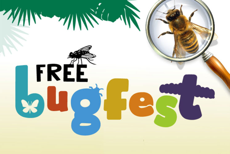 Bugfest