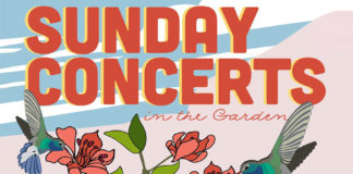 Sunday Concert Series at Desert Botanical Gardens