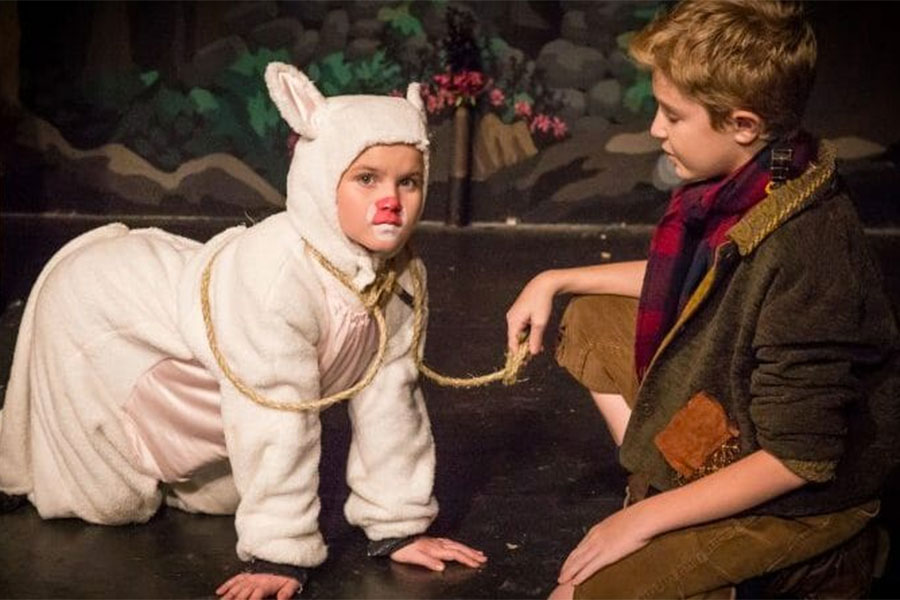 Into the Woods