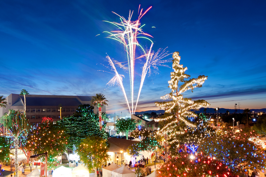 Tree chosen for 16th annual Festival of Lights, set for Dec. 3