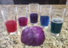 Sari on Science: Making cabbage chemistry rainbows