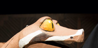 Creepy, Crawly, Wild and Wooly