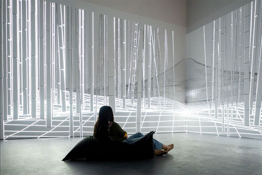 Wonderspaces