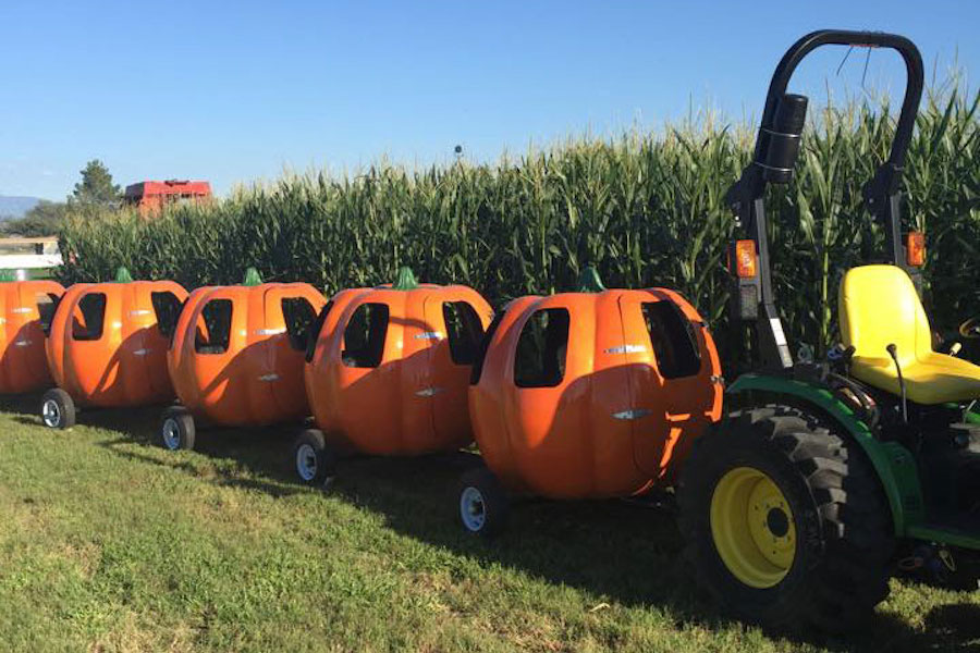 Marana Pumpkin Patch, Arizona, corn maze, straw mountain, pony rides