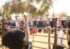 32nd Annual Ostrich Festival