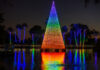 Enter to win tickets to Zoo Lights at the Phoenix Zoo