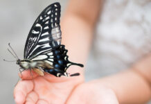 Helping Your Neurodivergent Child Cope with Grief